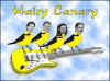 Hairy Canary.jpg (32004 bytes)